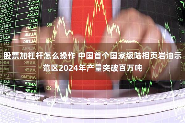 股票加杠杆怎么操作 中国首个国家级陆相页岩油示范区2024年产量突破百万吨