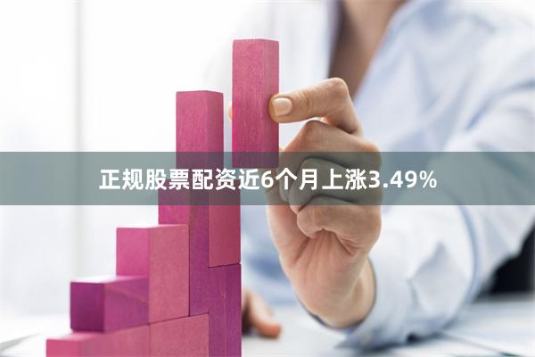 正规股票配资近6个月上涨3.49%