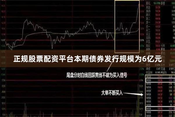 正规股票配资平台本期债券发行规模为6亿元
