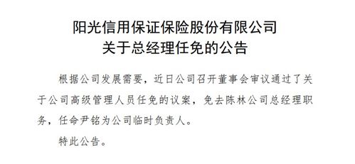 尹銘出任陽光信保臨時(shí)負(fù)責(zé)人 曾任螞蟻副總裁