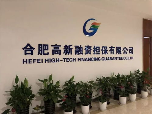 點贊 高新?lián)９拘庞玫燃壧嵘羇 級別